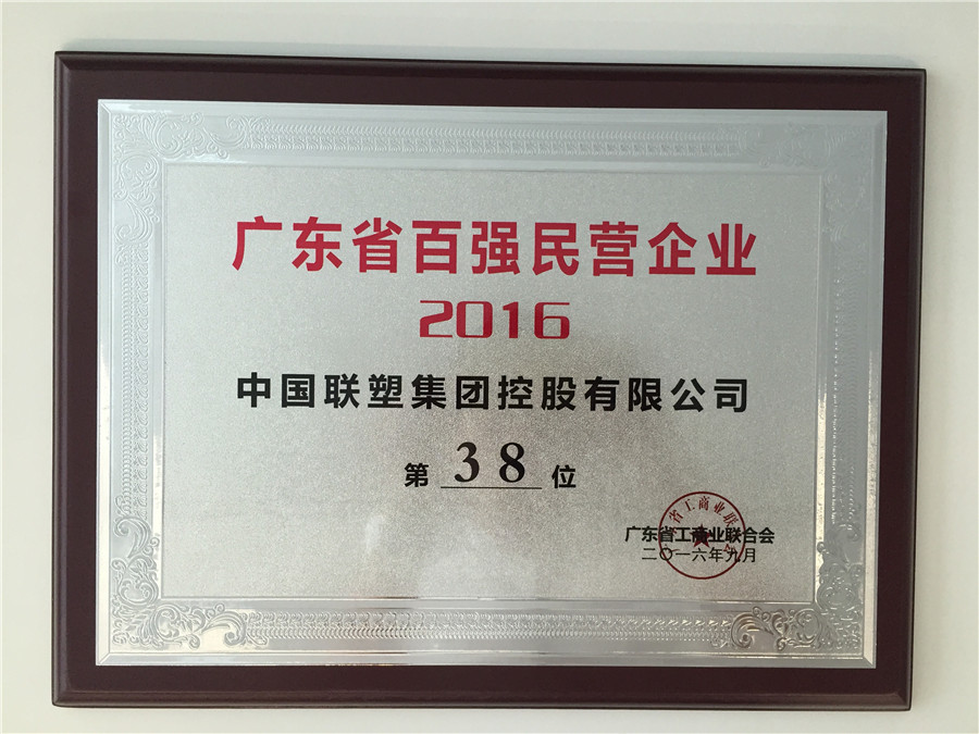 2016廣東省百強民營企業(yè)第38位